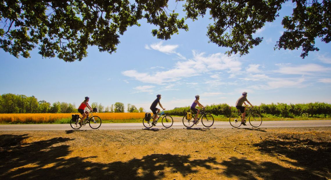 Bicycle Routes Near Lviv