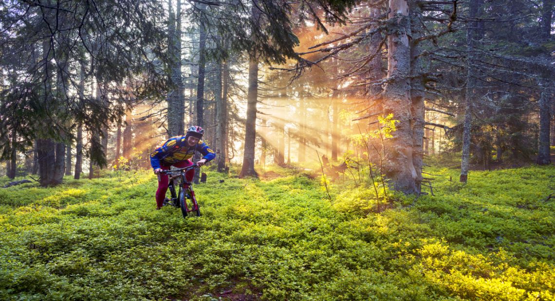 Bicycle Routes Near Kyiv