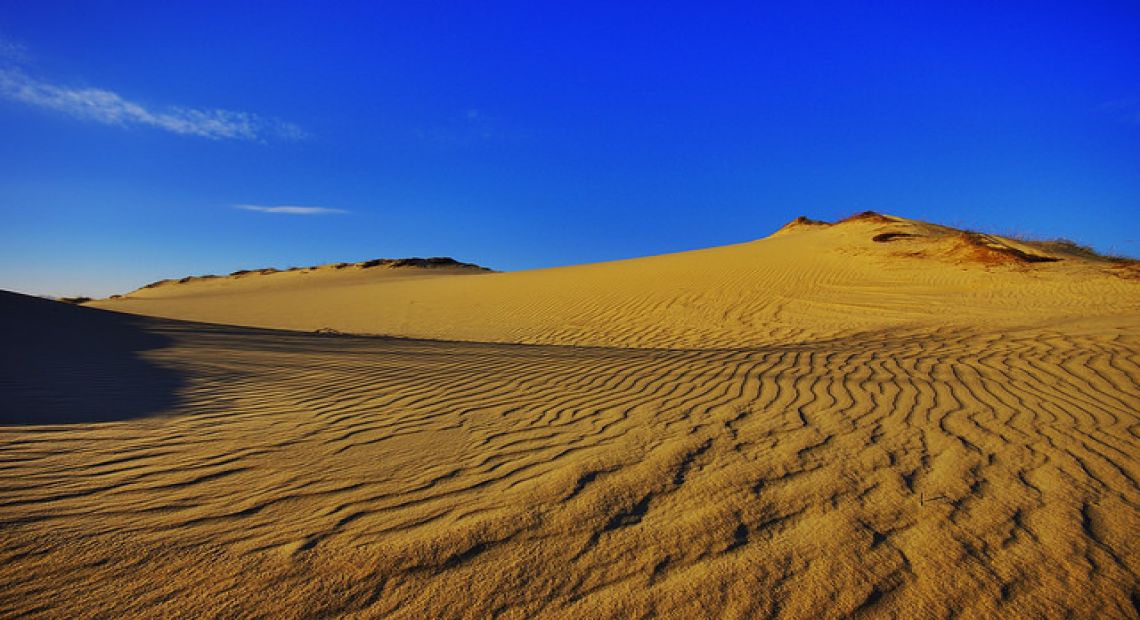 The Secrets of Oleshkivsky Sands Desert in Ukraine