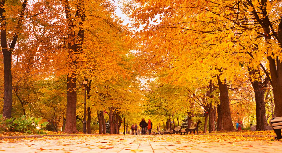 Kyiv Autumn on Instagram