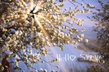 The Ultimate Guide to April Festivals in Ukraine