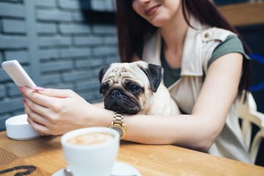 Dog-Friendly Places in Kyiv