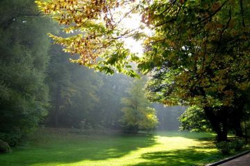 Beautiful Lviv City Parks