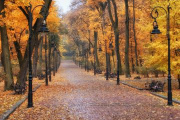 Fall in Lviv: Best Places to Visit
