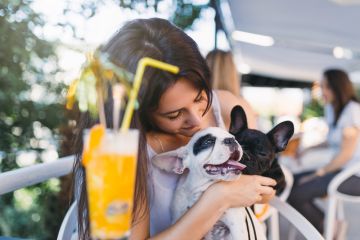 Dog-Friendly Food Spots in Lviv