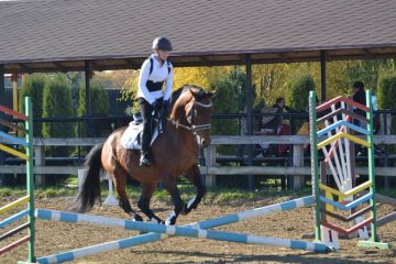 Dergachov Family Horse Club near Kiev