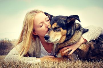 Charity Mongrel Dog Show in Lviv