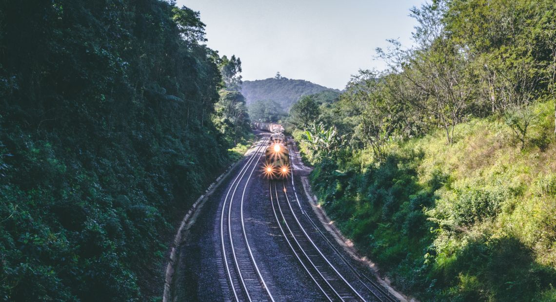 train on railroad in forest