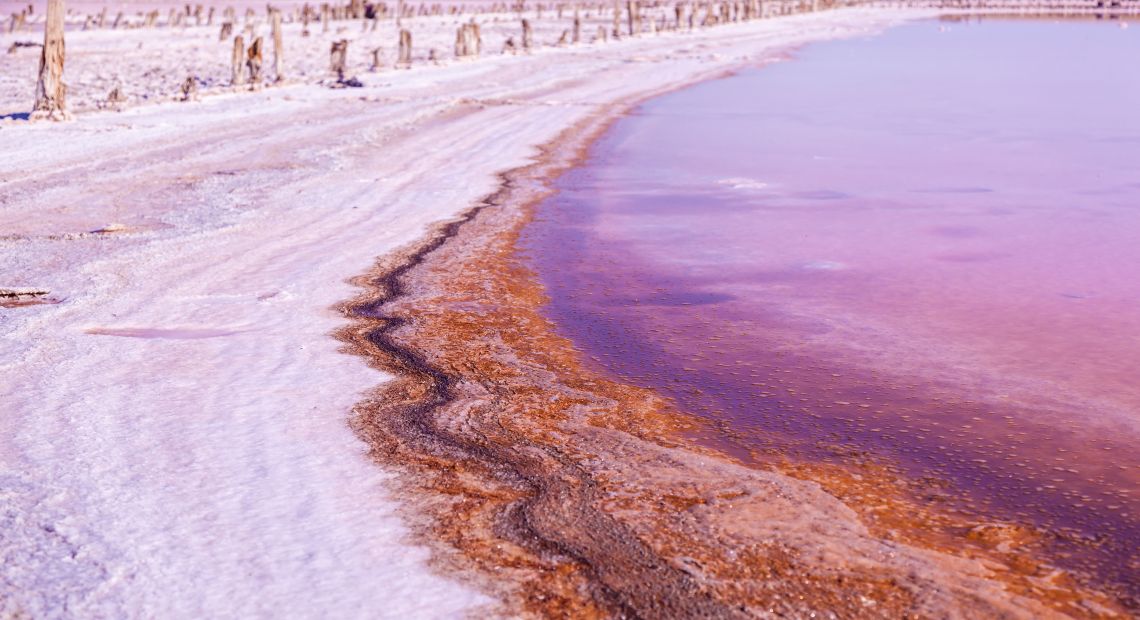 unusual lake with pink water and white salty shore