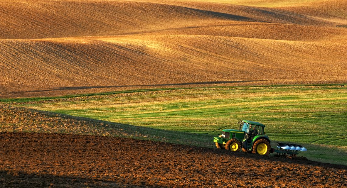 Ukraine Must Become an Agrarian Superstate