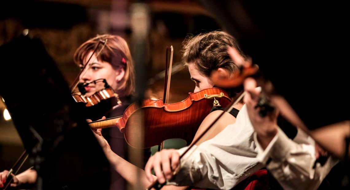 Orchestra at the concert