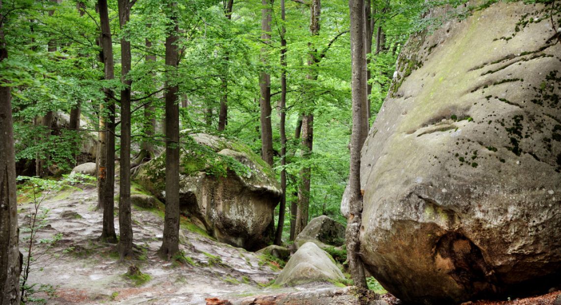 huge stone in forest