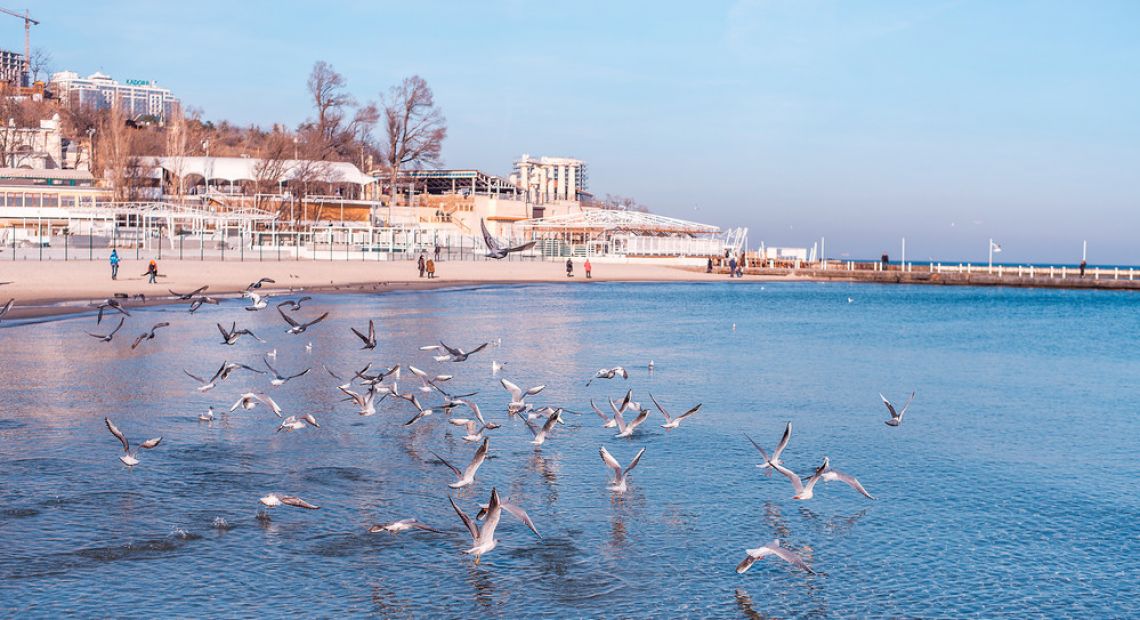 Odesa in winter