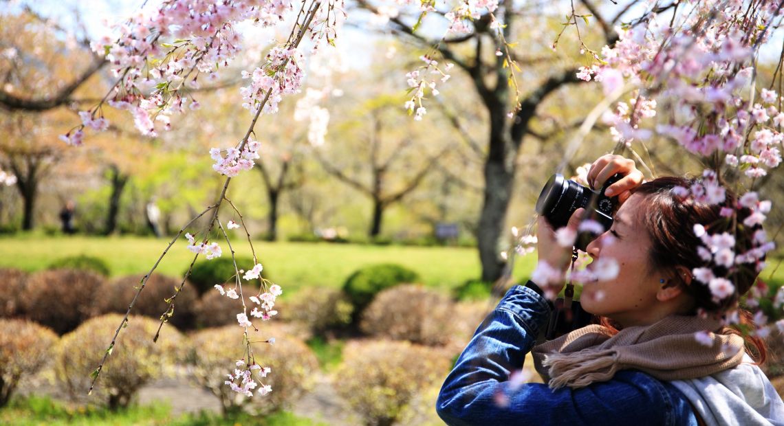 lady making photo