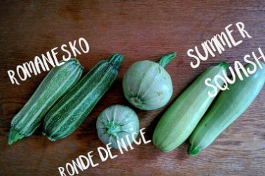 Organic Food Shopping in Kyiv