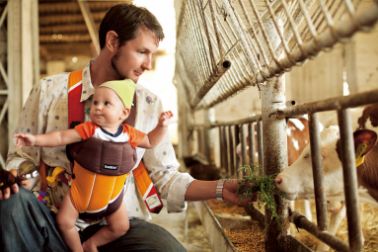 Man with a baby feeding the cow