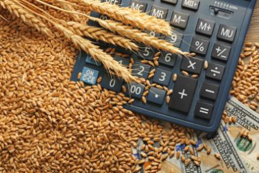 Grain and calculator