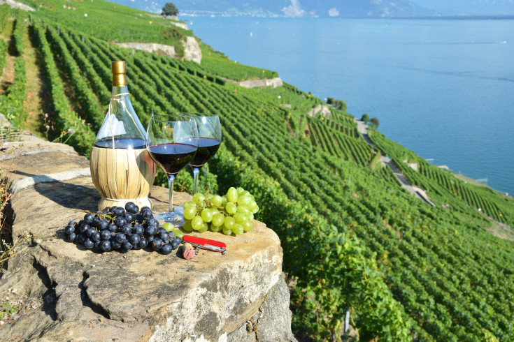 Enchanting Journey: Vineyards and Wineries in Switzerland