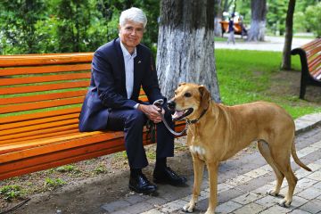 Guillaume Scheurer: Detached View