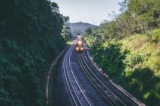 train on railroad in forest