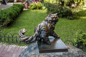 Panteleimon cat in Kyiv