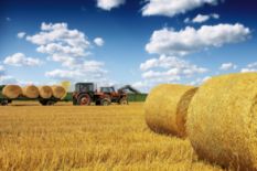 Syngenta Solutions: Expert Overview of Ukrainian Agriculture