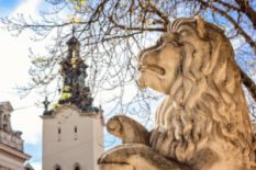 Lion statue and a church on the background in Lviv