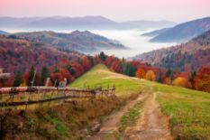 Autumn in the Carpathian Biosphere Reserve