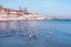 Odesa in winter