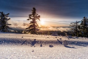Mountains and forest in snow