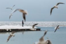 Odesa sea shore