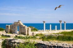 ancient ruins on seashore, gull flying above