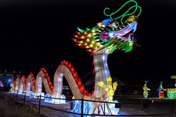 Chinese dragon lantern