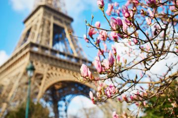 Spring in Paris