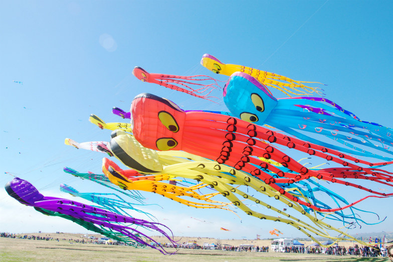 Best Kite Festivals in the US 7d9f7b60c6ce4dc88508c4fc64c0d20d