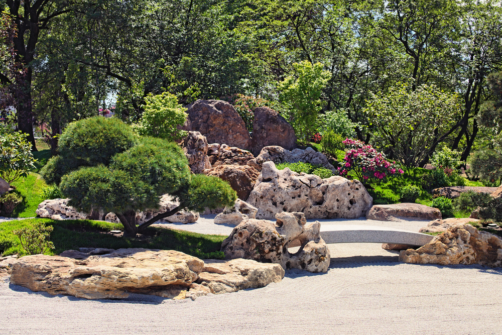 Japanese garden in Kioto park