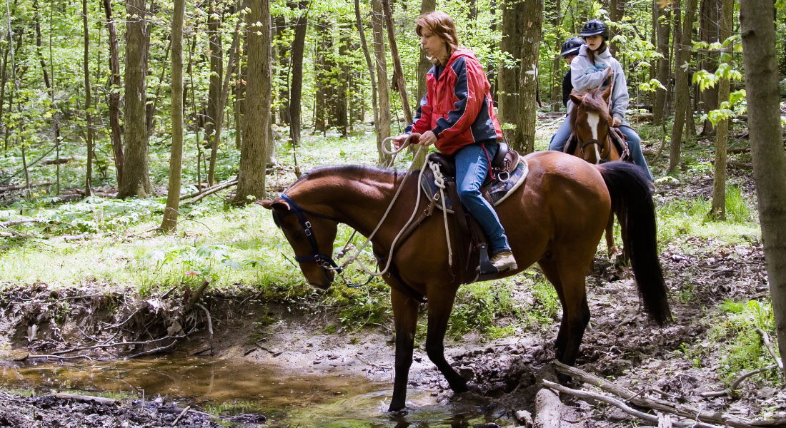 Horse riders