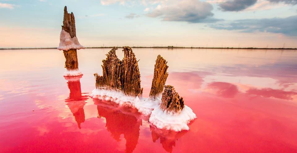 The Pink Lake in Ukraine