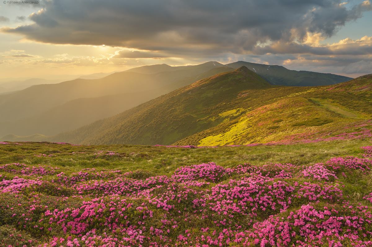 Chornohora in Ukraine