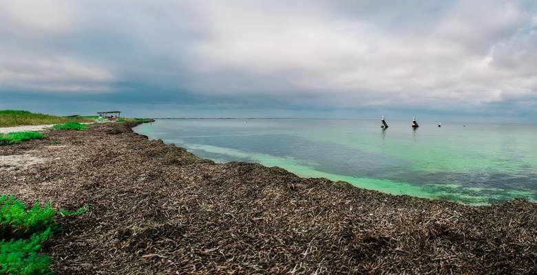 coast of Ukrainian Maldives 