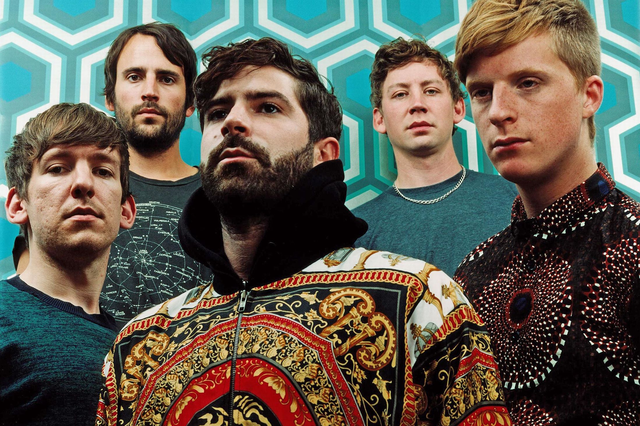 foals