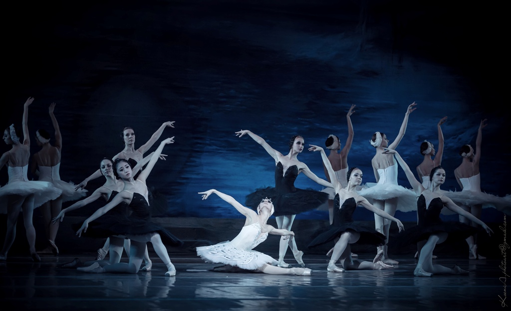 swanlake