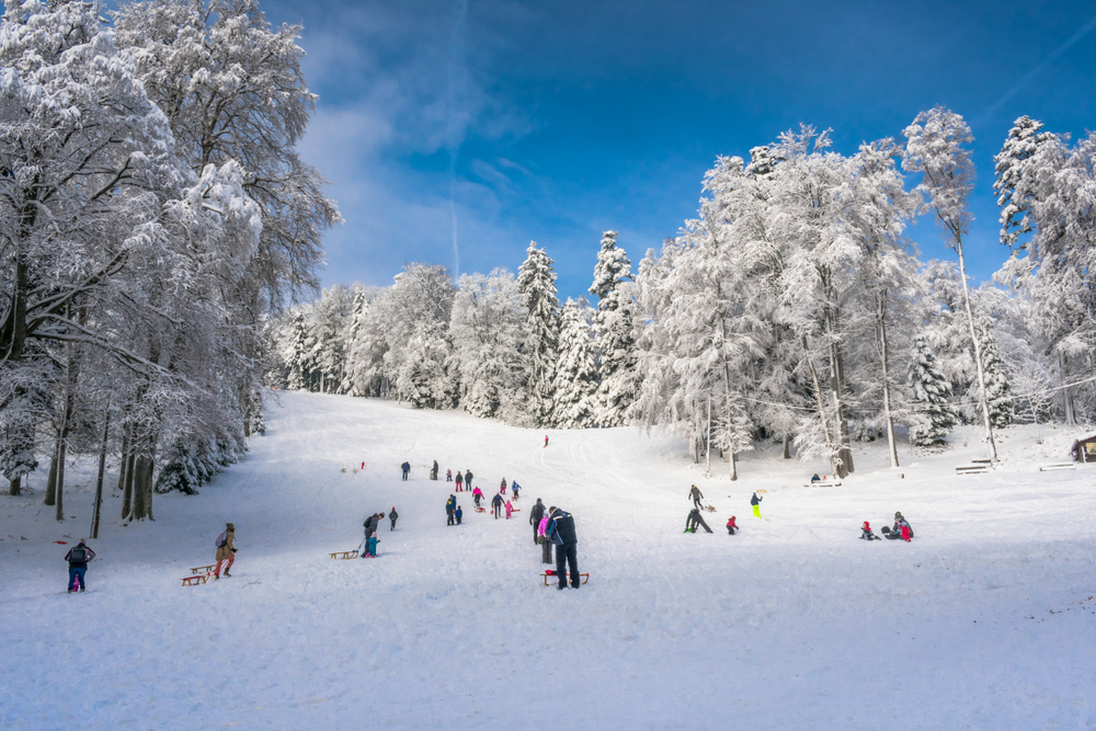 sledding7