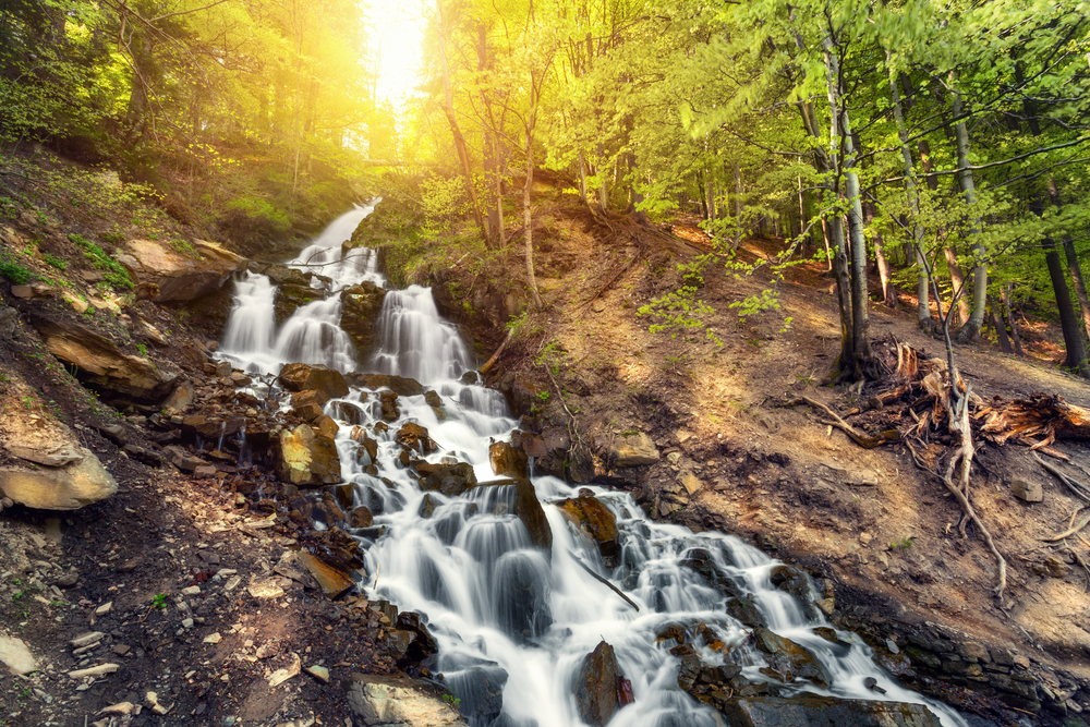 waterfall in forest