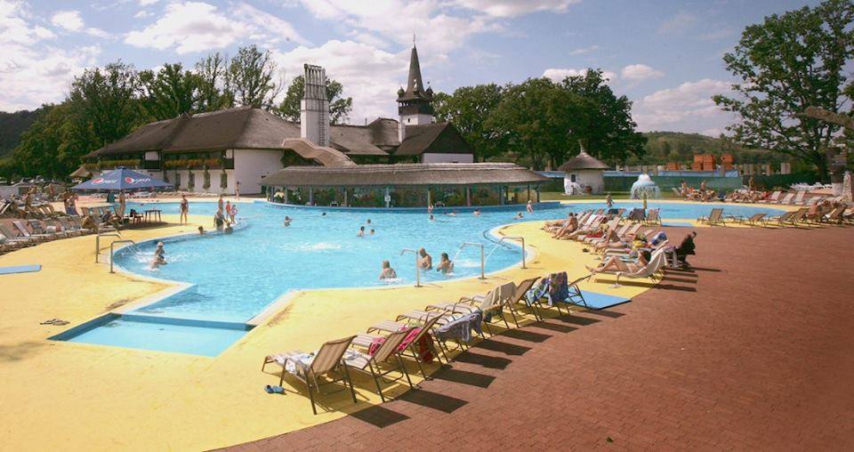 people in swimming pool