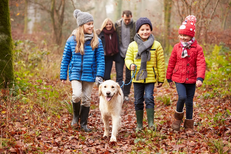 family hike family walking dog fall hike autumn woods