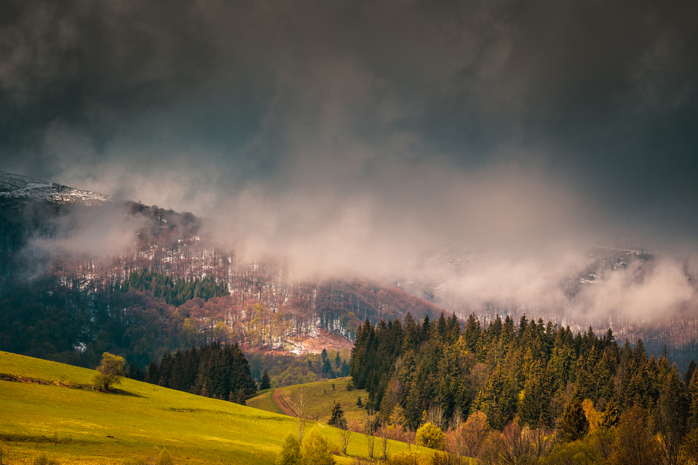 Carpathians in fog