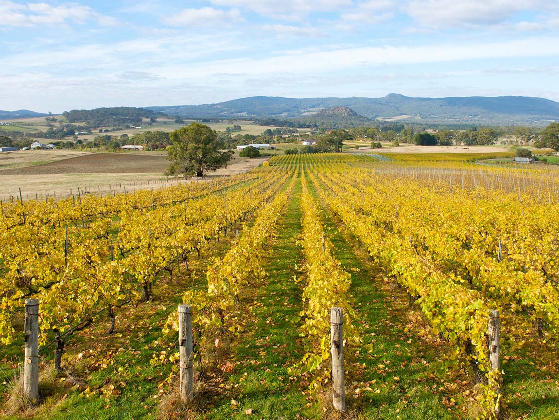 rock winery in Koblevo