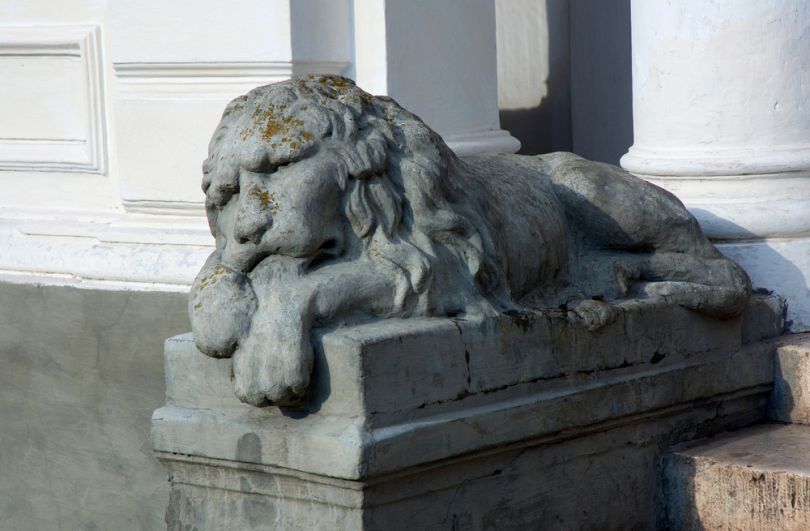 stone lion