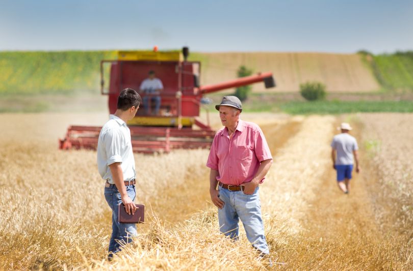 Man in the field